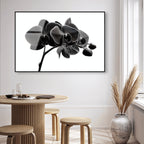 Dark Orchid I