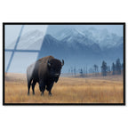 Mountain Bison I