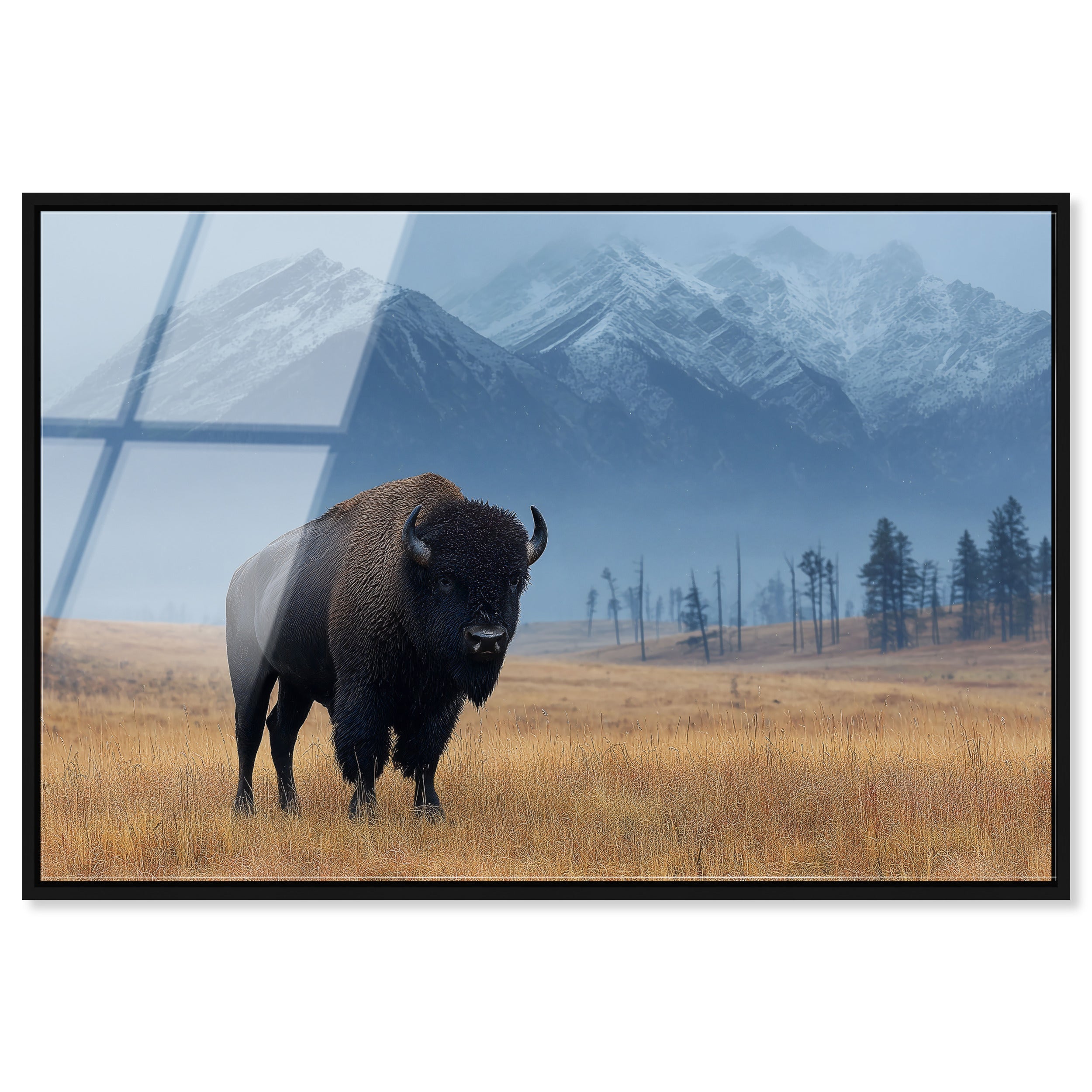 Mountain Bison I