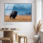 Mountain Bison I