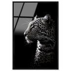 Dark Hunter I