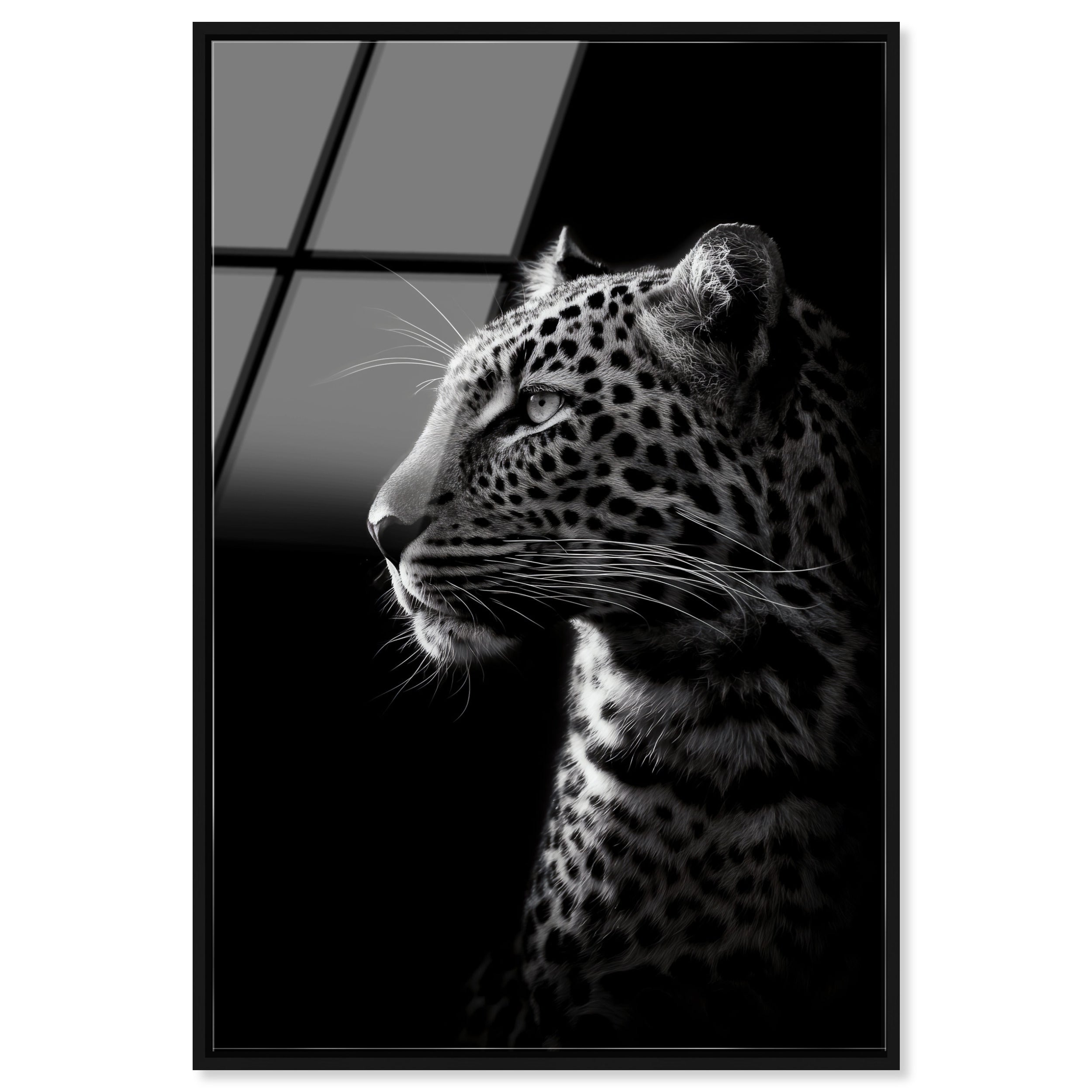 Dark Hunter I