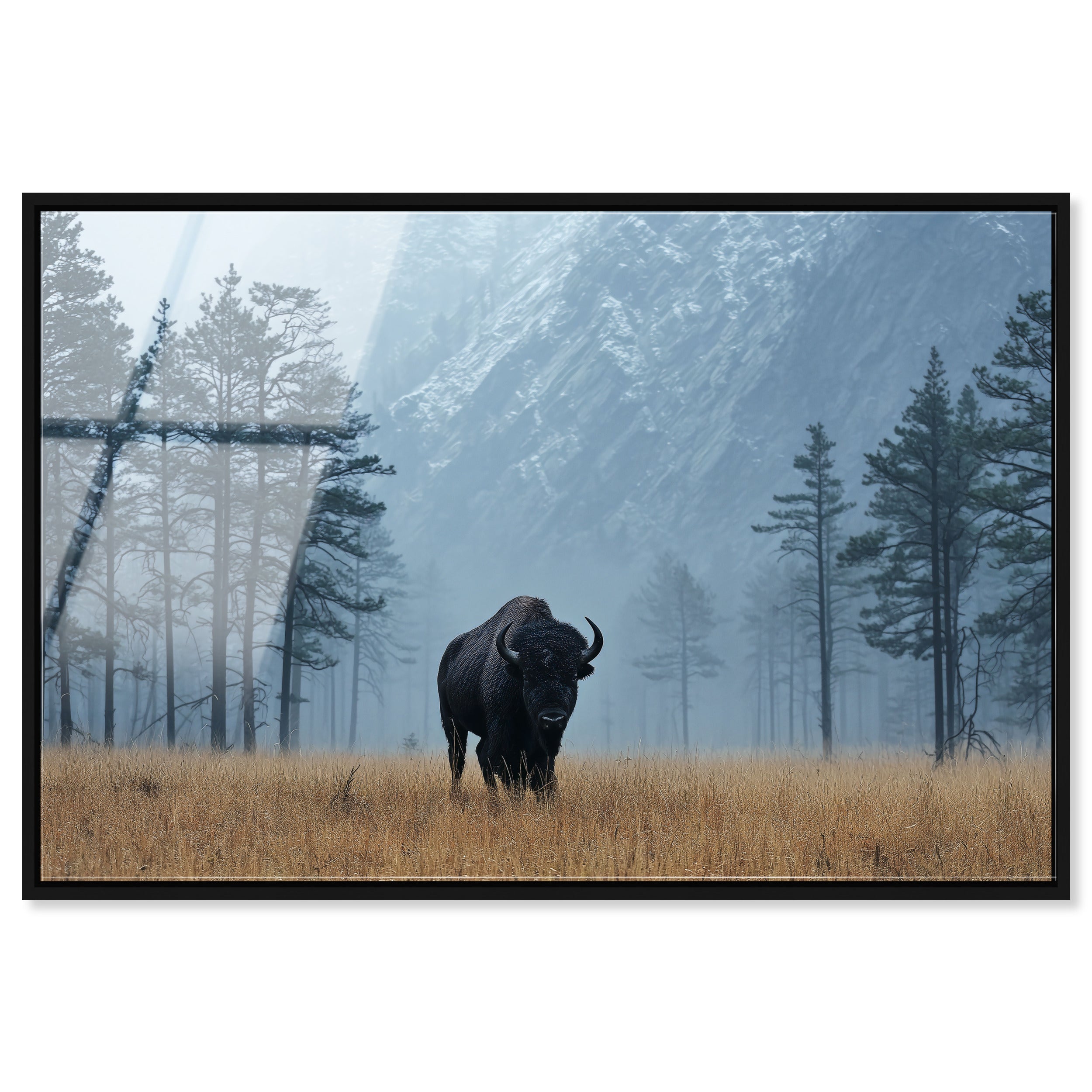 Mountain Bison II