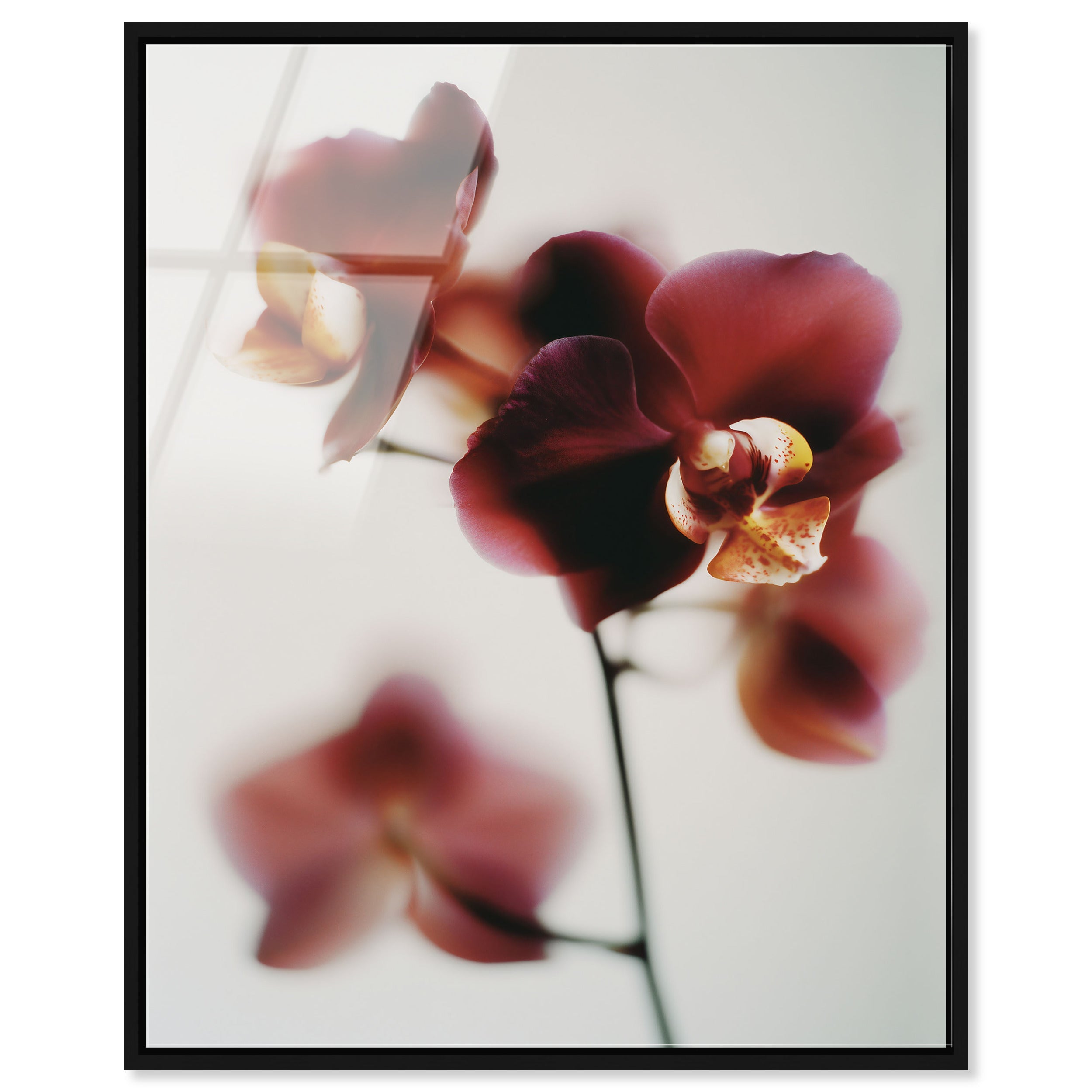 Warm Flowers II