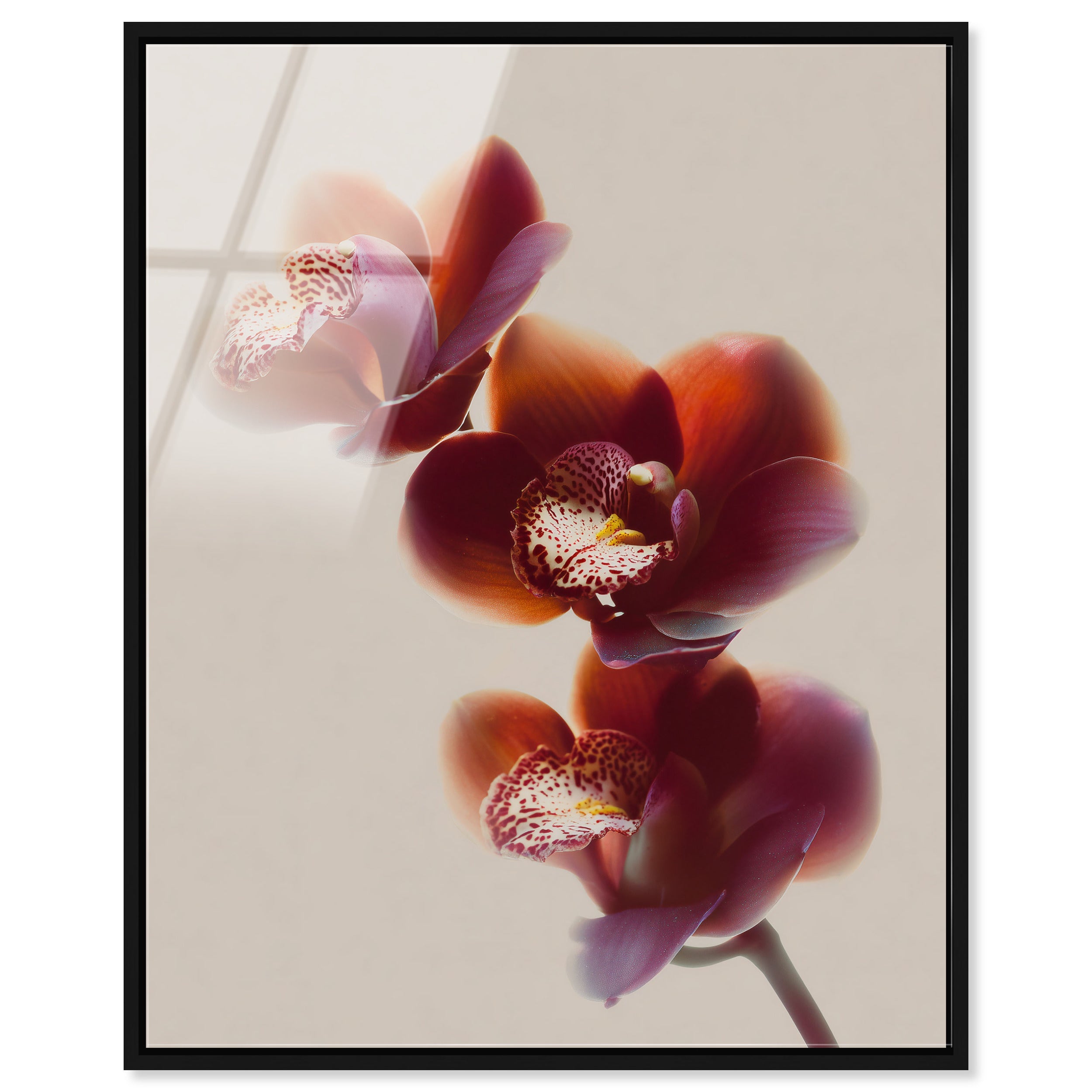 Warm Flowers I
