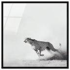 Cheetah Run