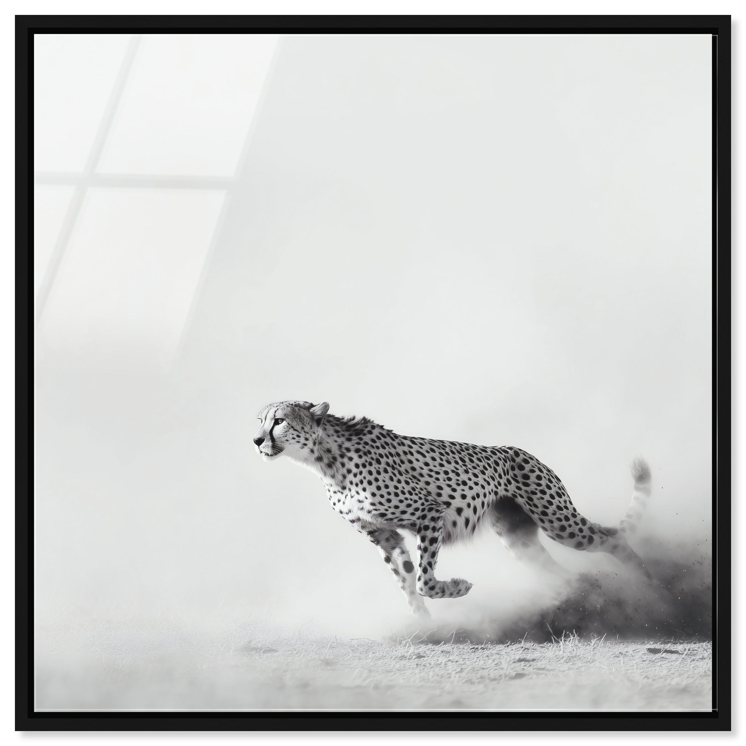 Cheetah Run