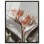 Coral Flower
