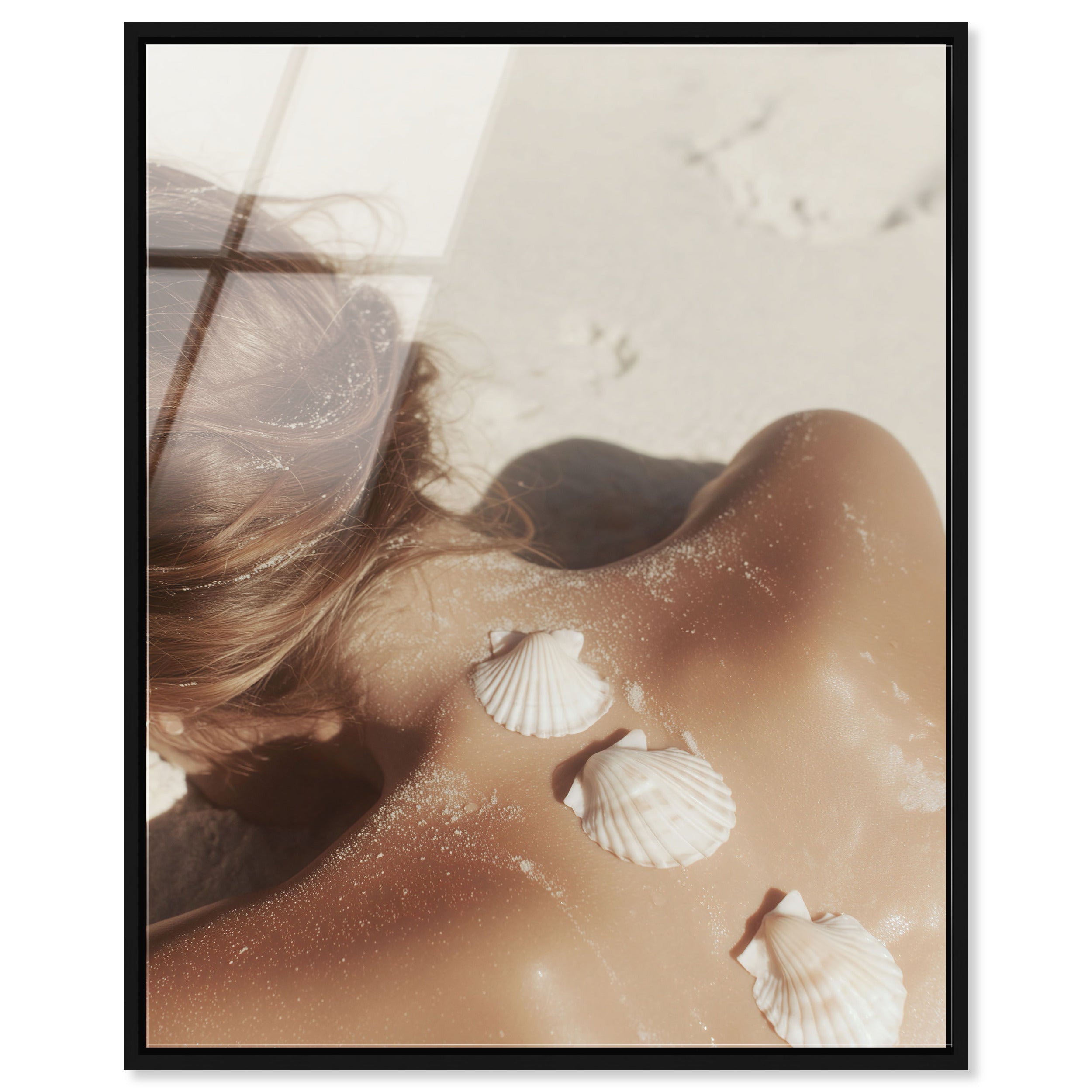 Shell Spine