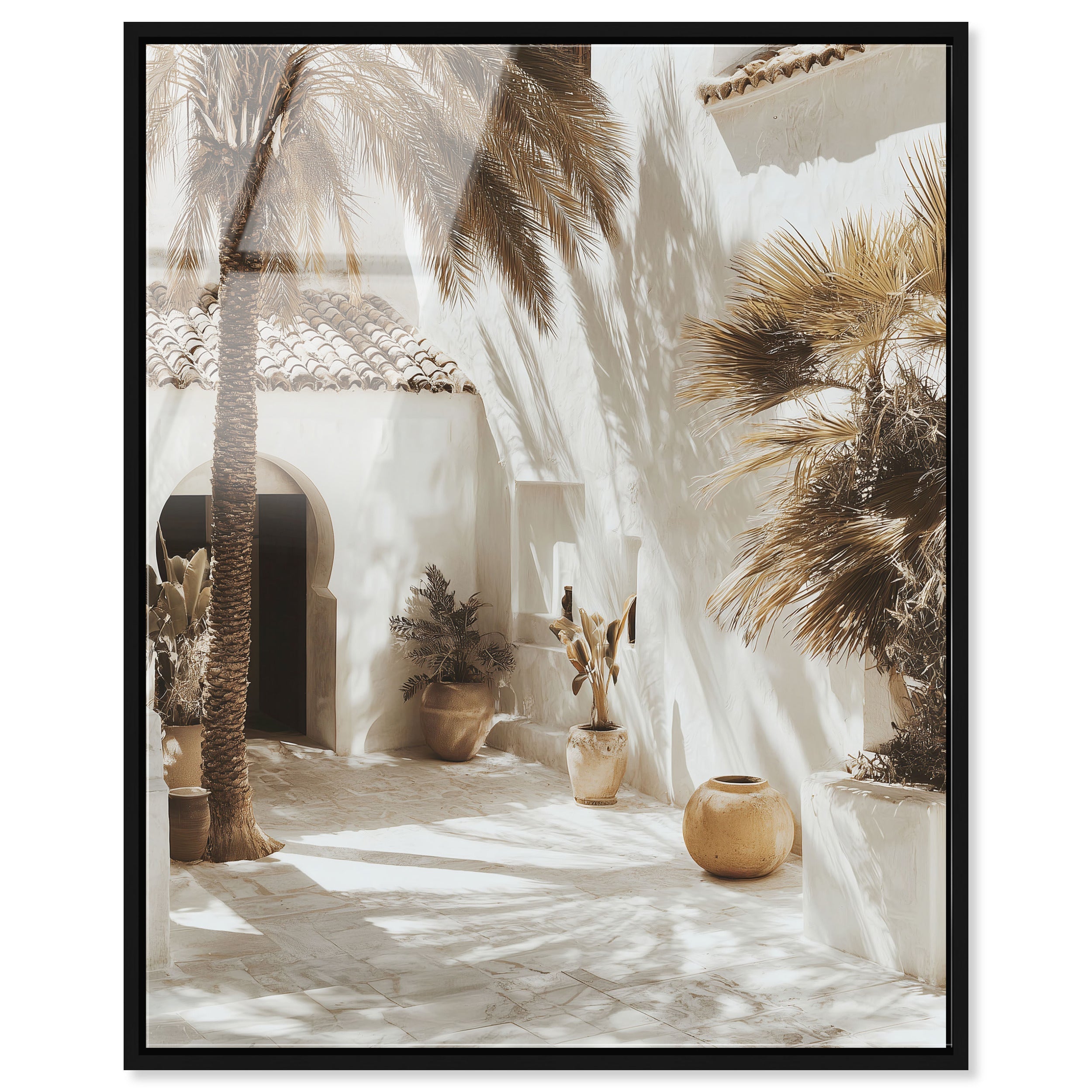 Desert Oasis