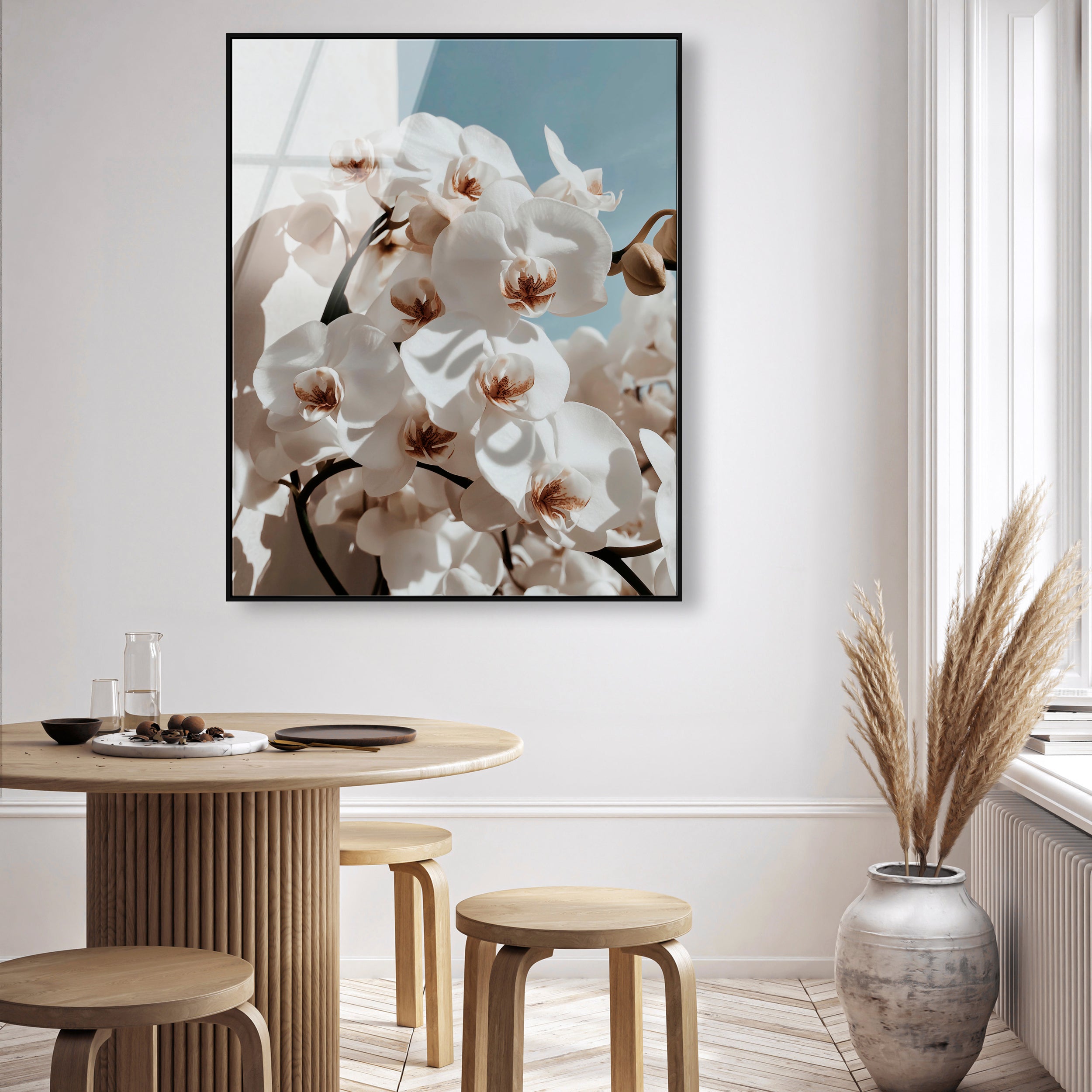 Phalaenopsis Flowers