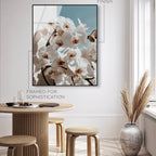Phalaenopsis Flowers