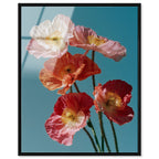Poppy Bloom I