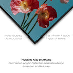 Poppy Bloom I