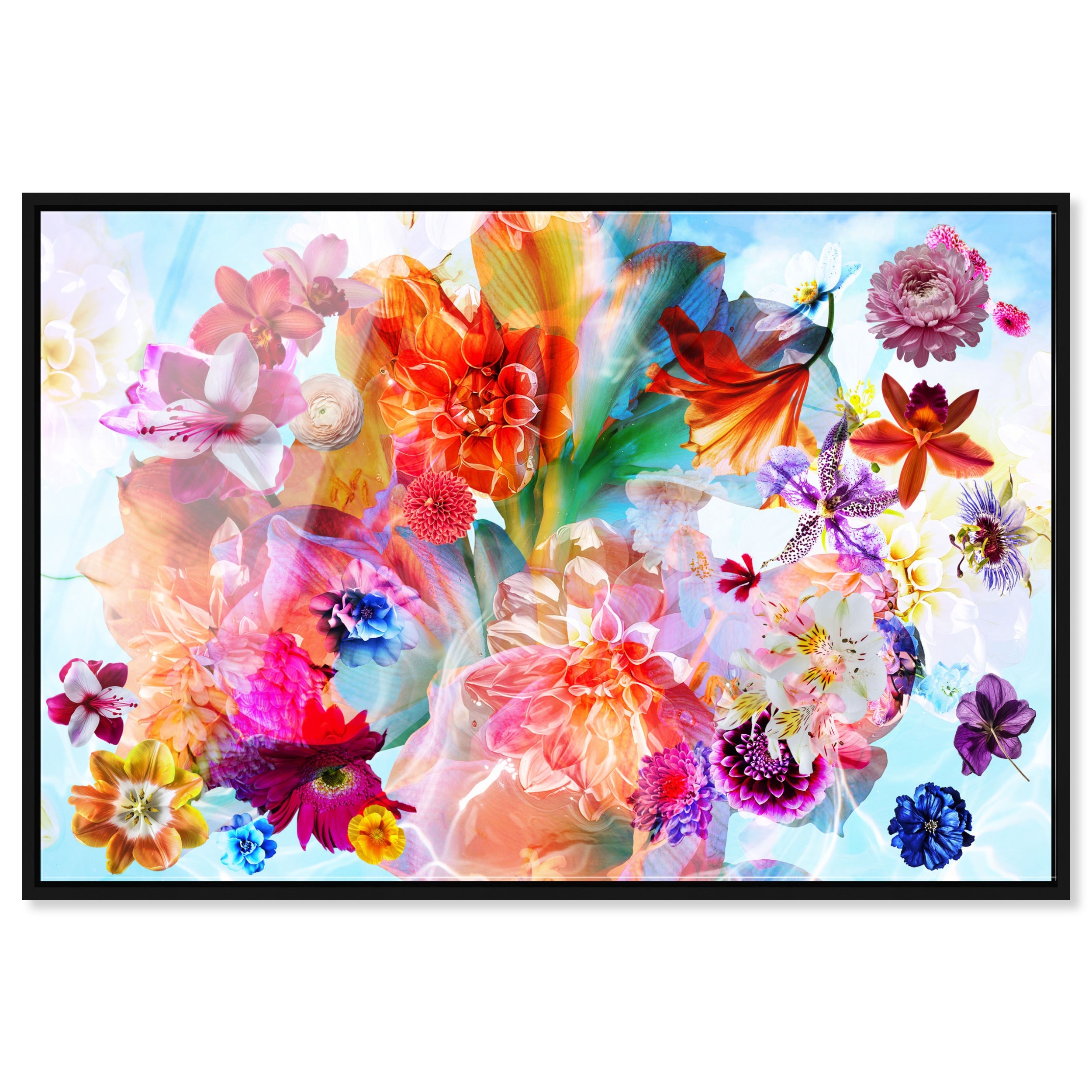 Gardenia Colorful Floral
