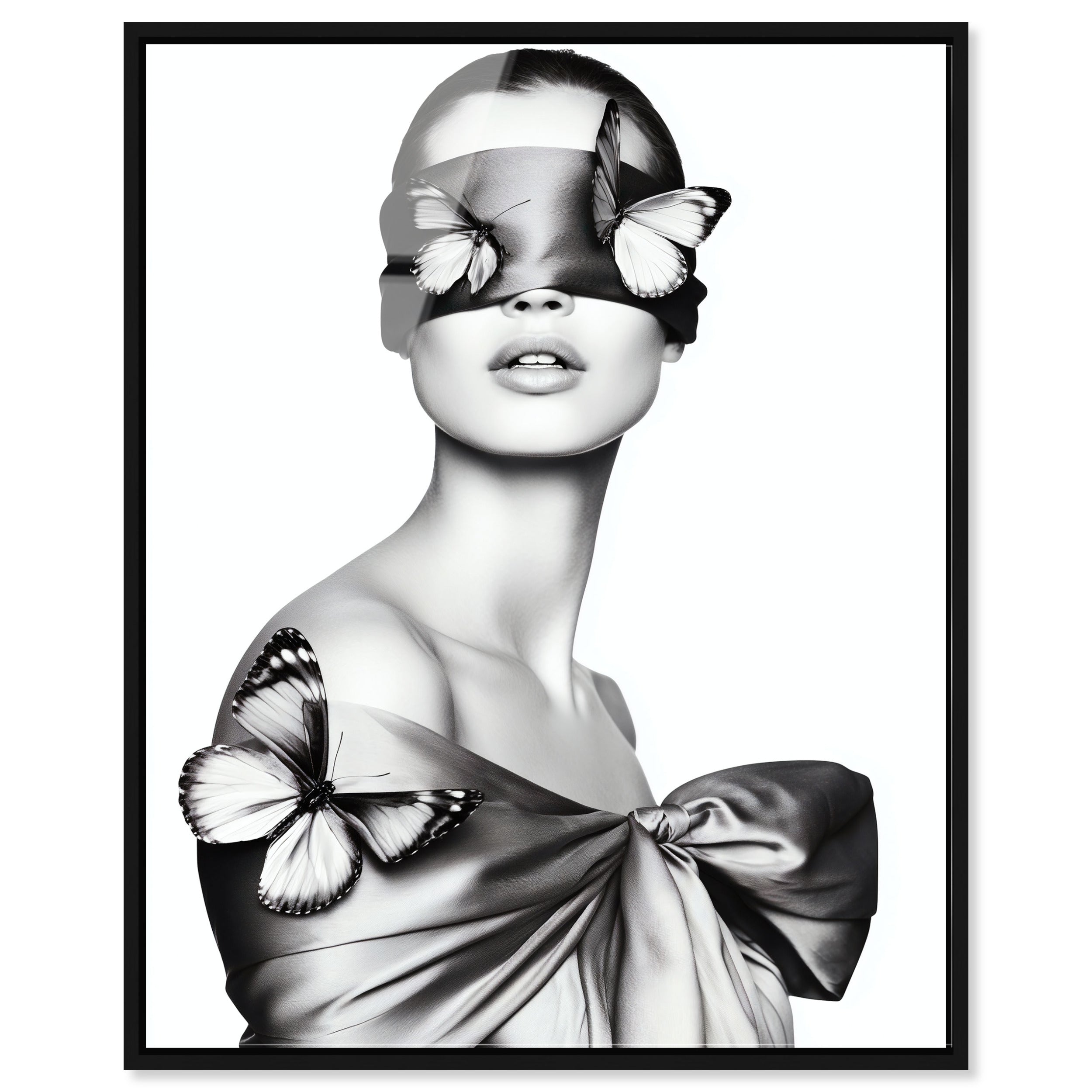 Silent Visionary I