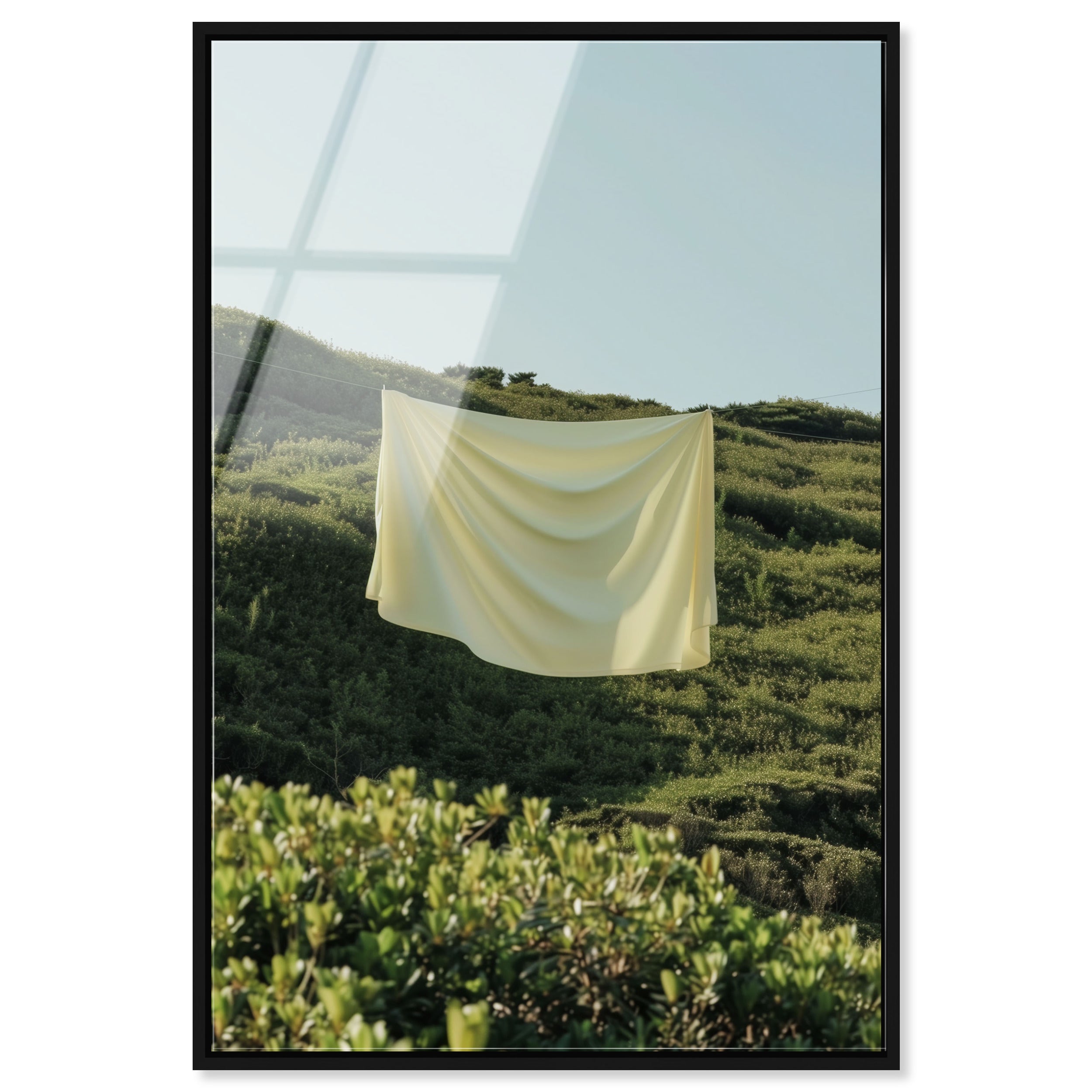 Floating Cotton II