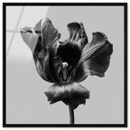 Tidal Wilt II