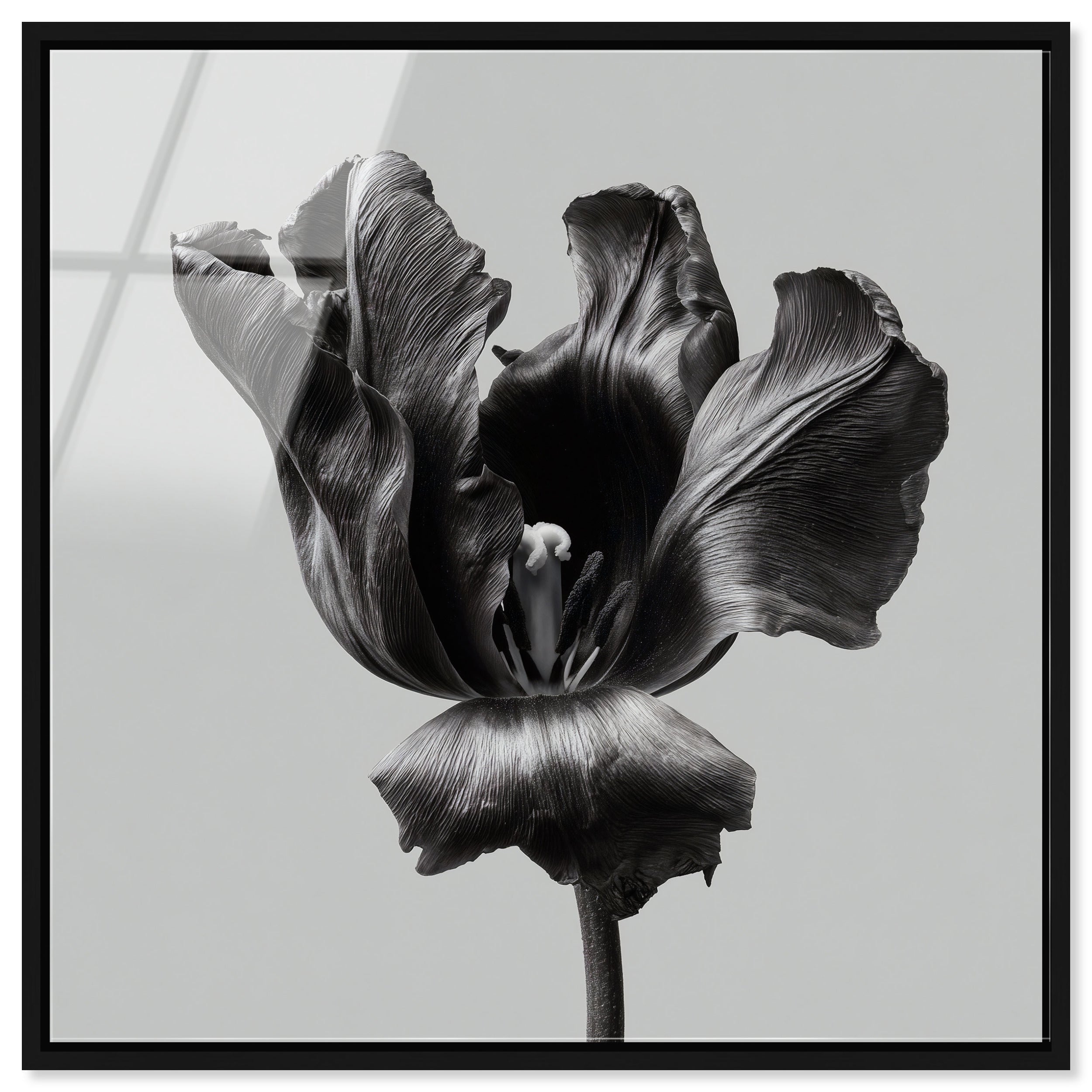 Tidal Wilt II