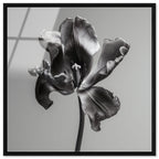 Tidal Wilt III