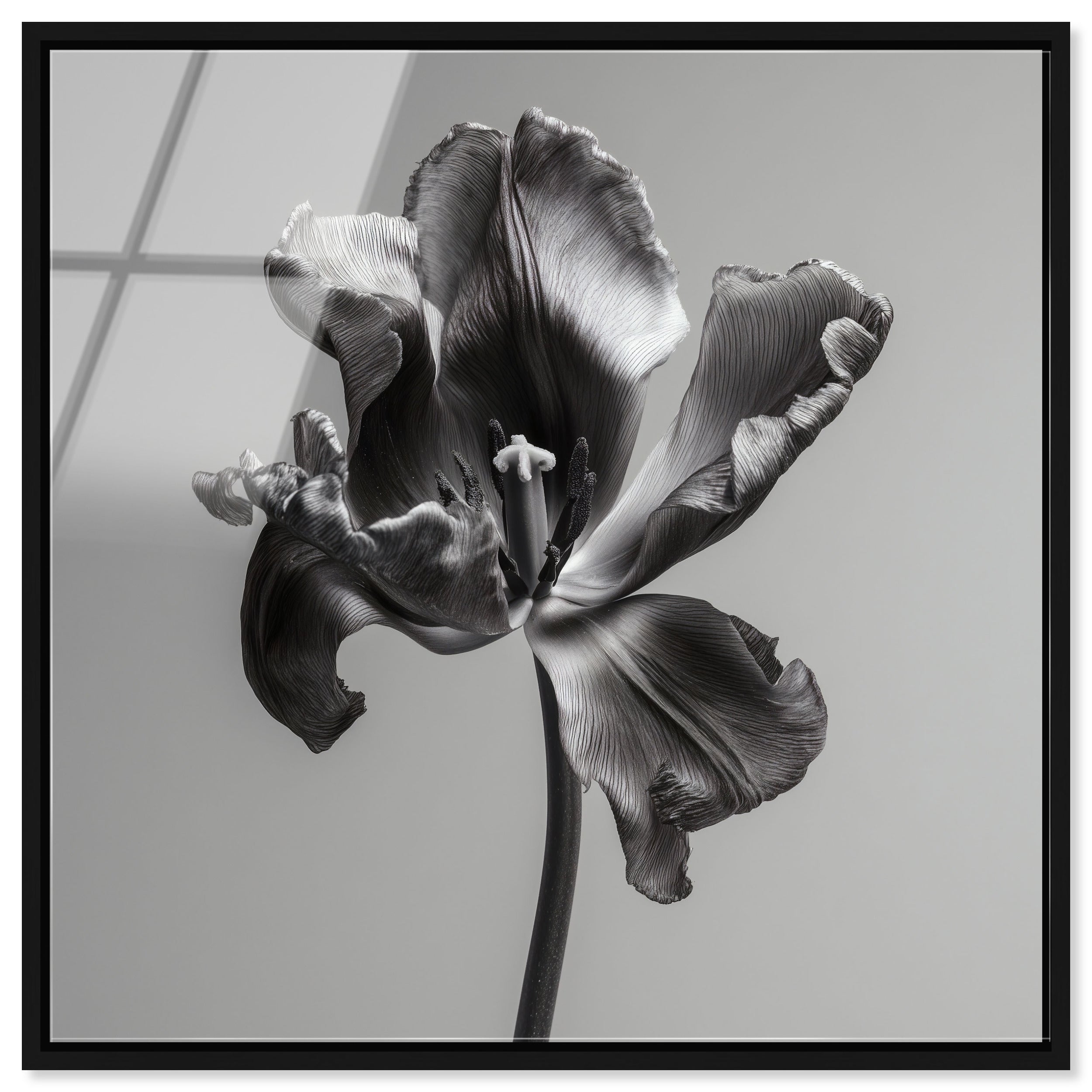 Tidal Wilt III