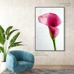 Pink Luminescence II