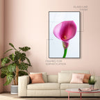 Pink Luminescence I