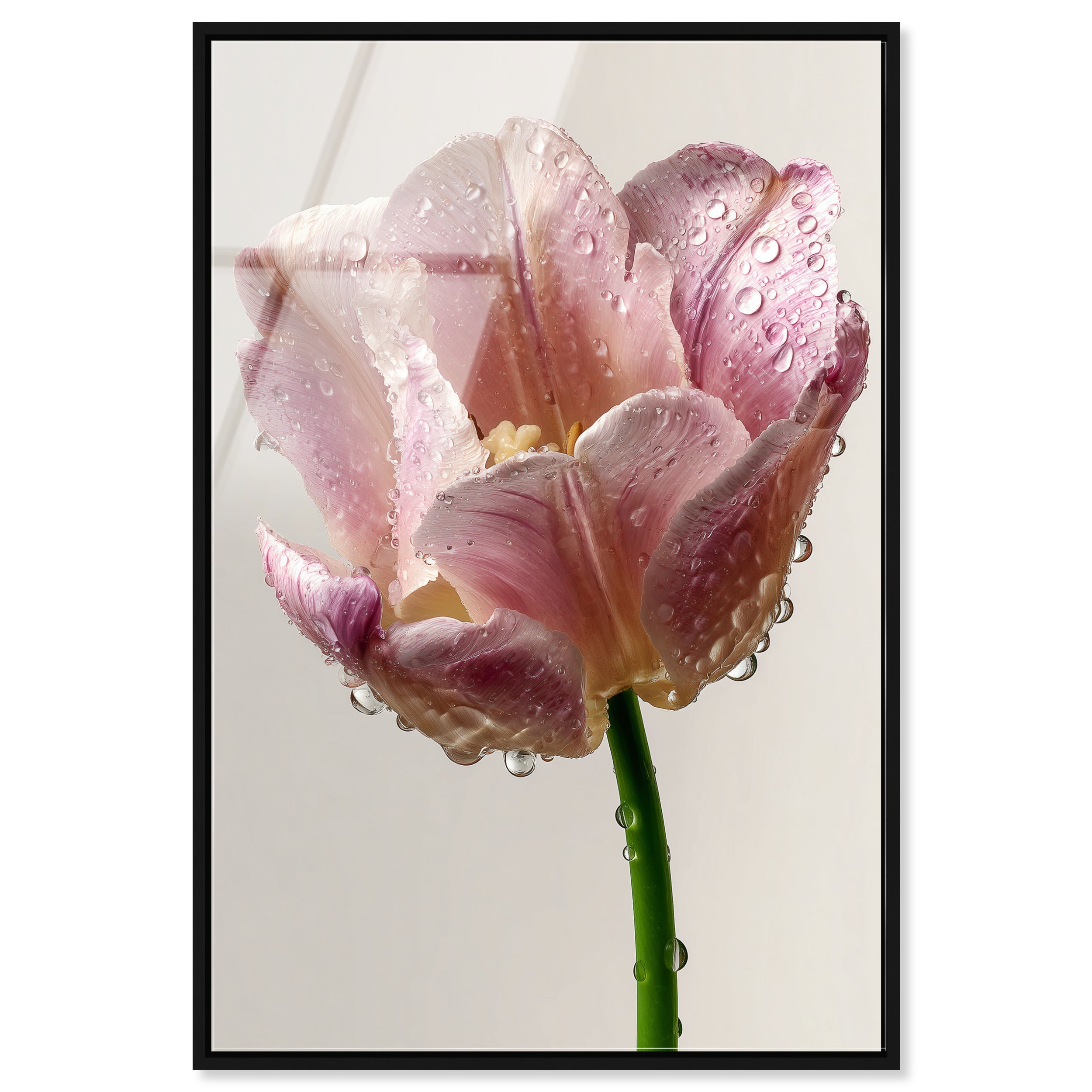 Droplet Tulip I