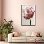 Droplet Tulip I
