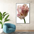 Droplet Tulip II