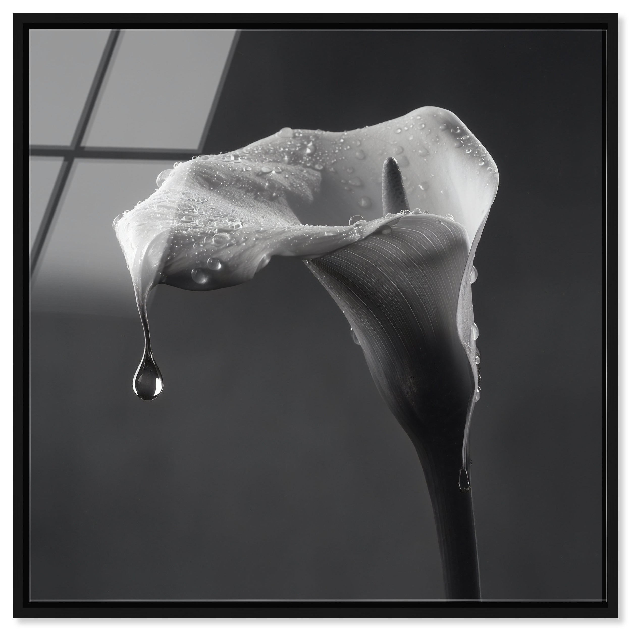 Midnight Rain