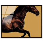 Hue Equine II