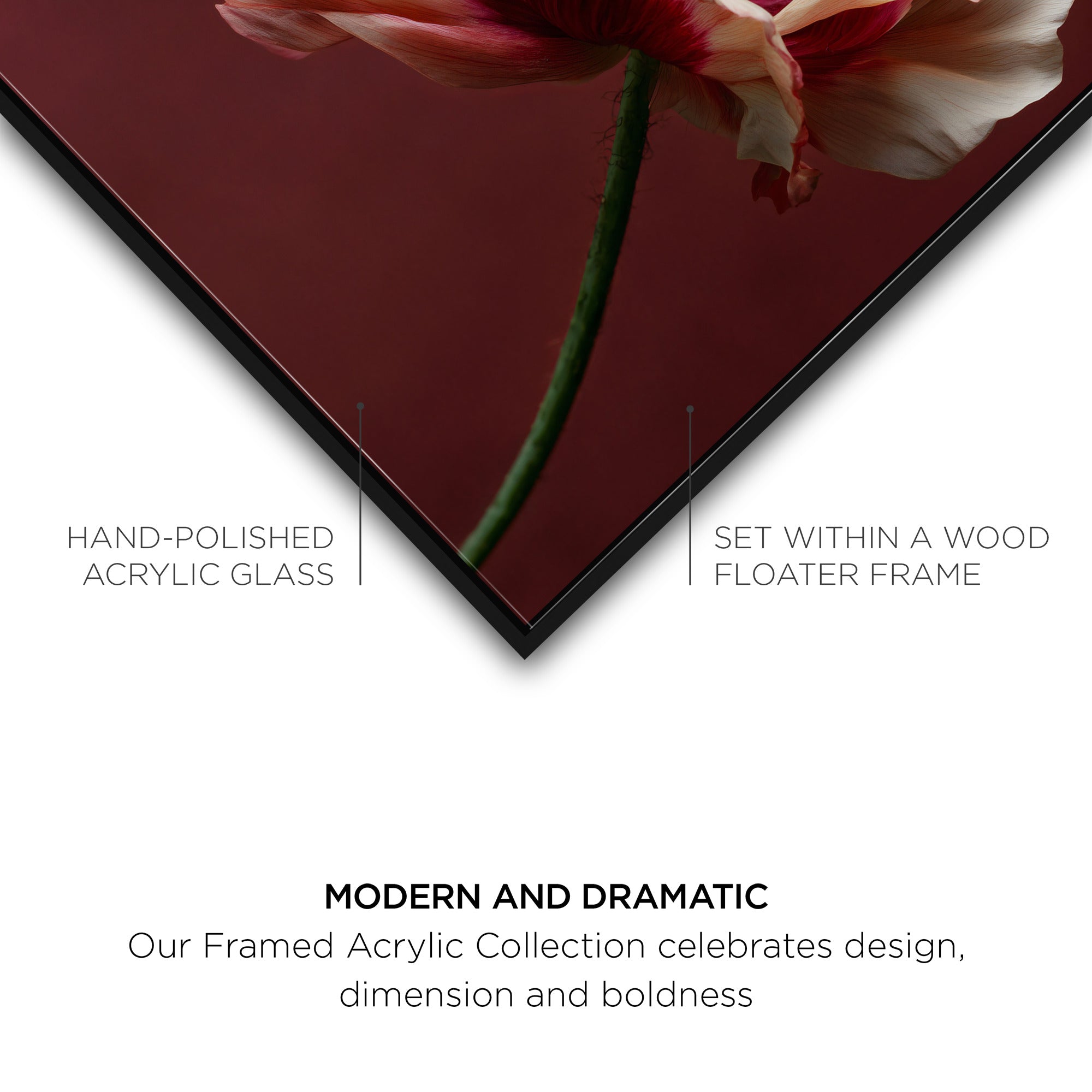 Merlot Blush Blossom I
