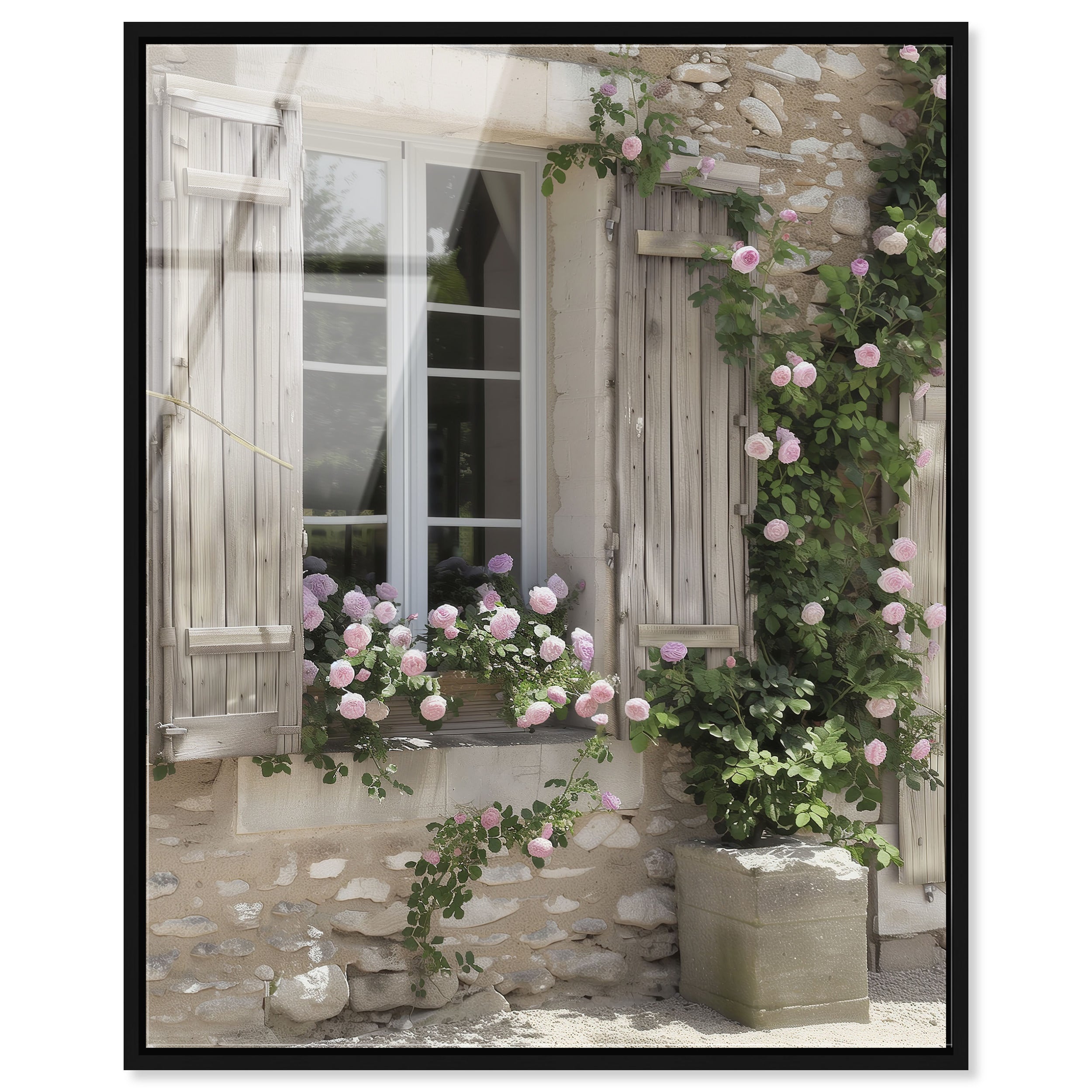 Rose Haven