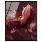 Merlot Blush Blossom II