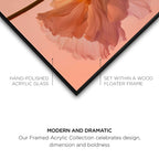 Amber Radiance III
