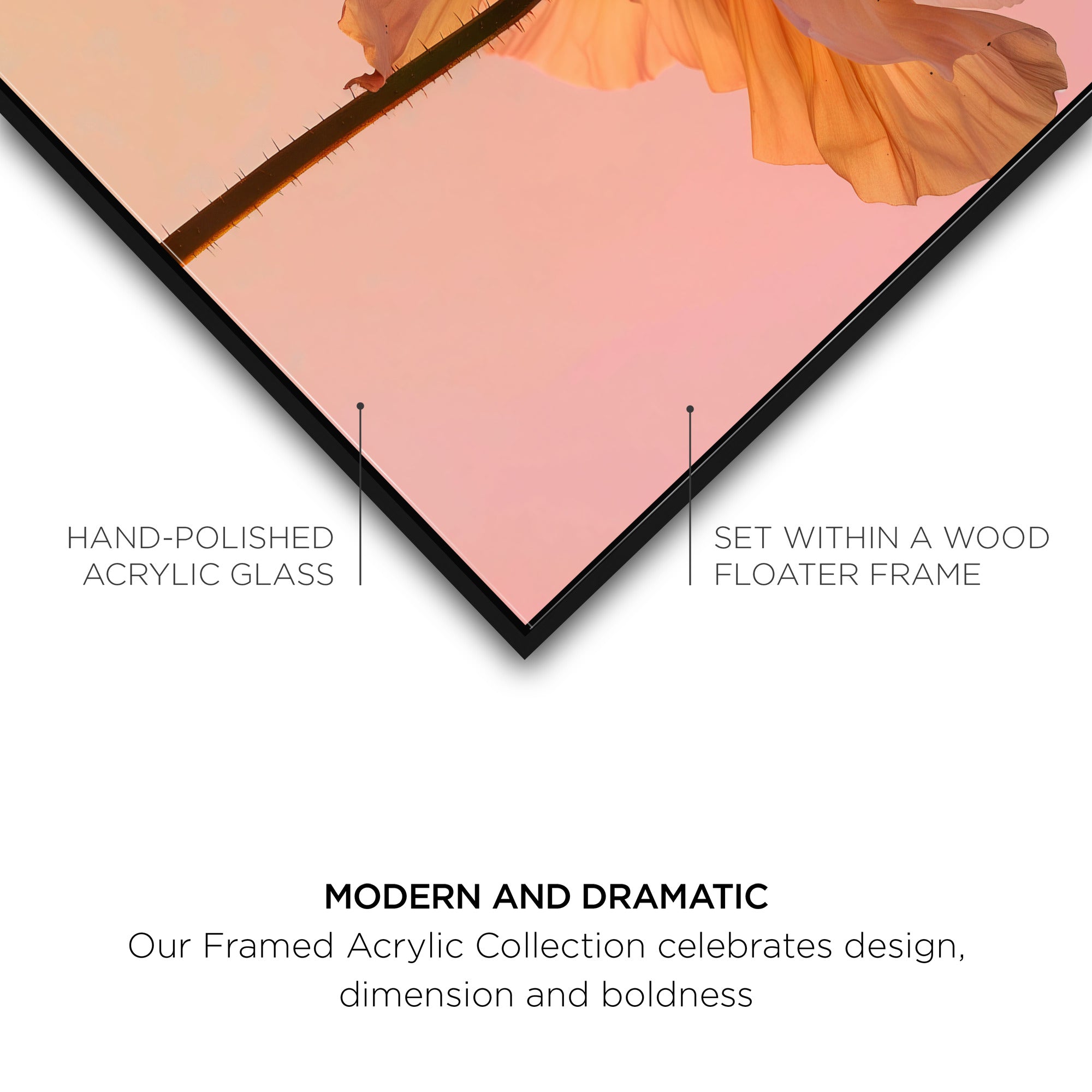 Amber Radiance IV