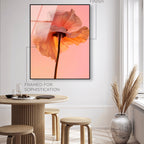 Amber Radiance IV