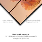 Amber Radiance II