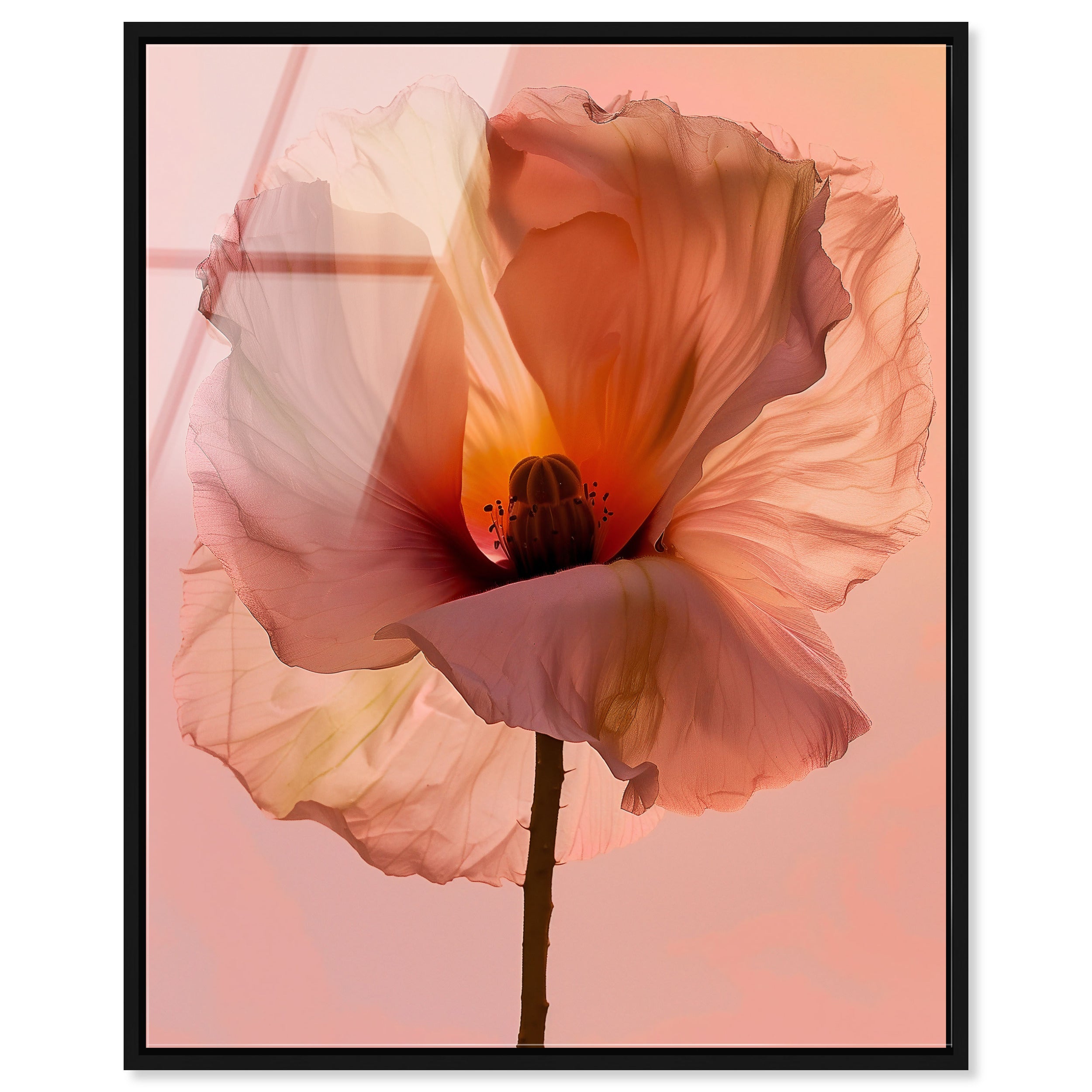 Amber Radiance I
