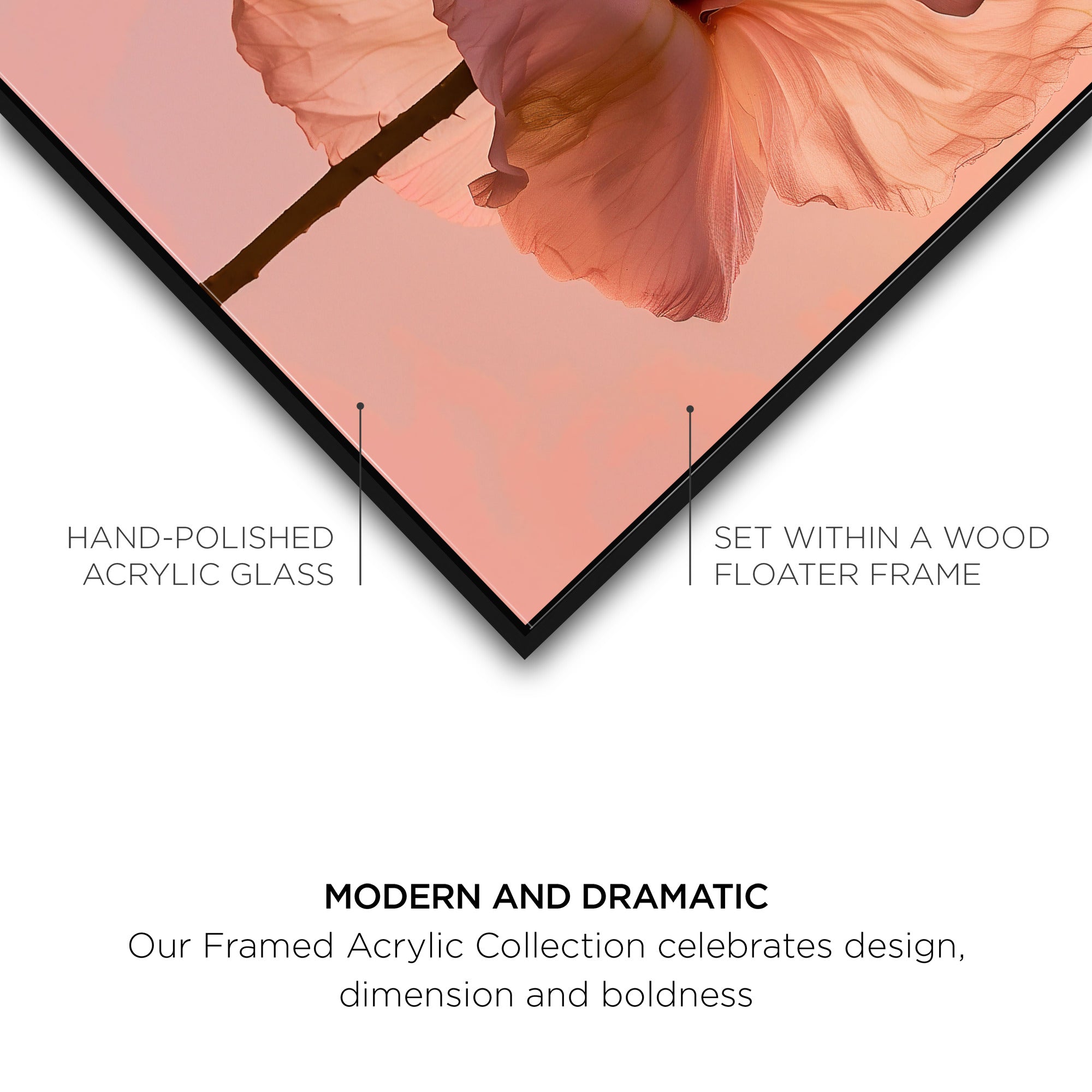 Amber Radiance I