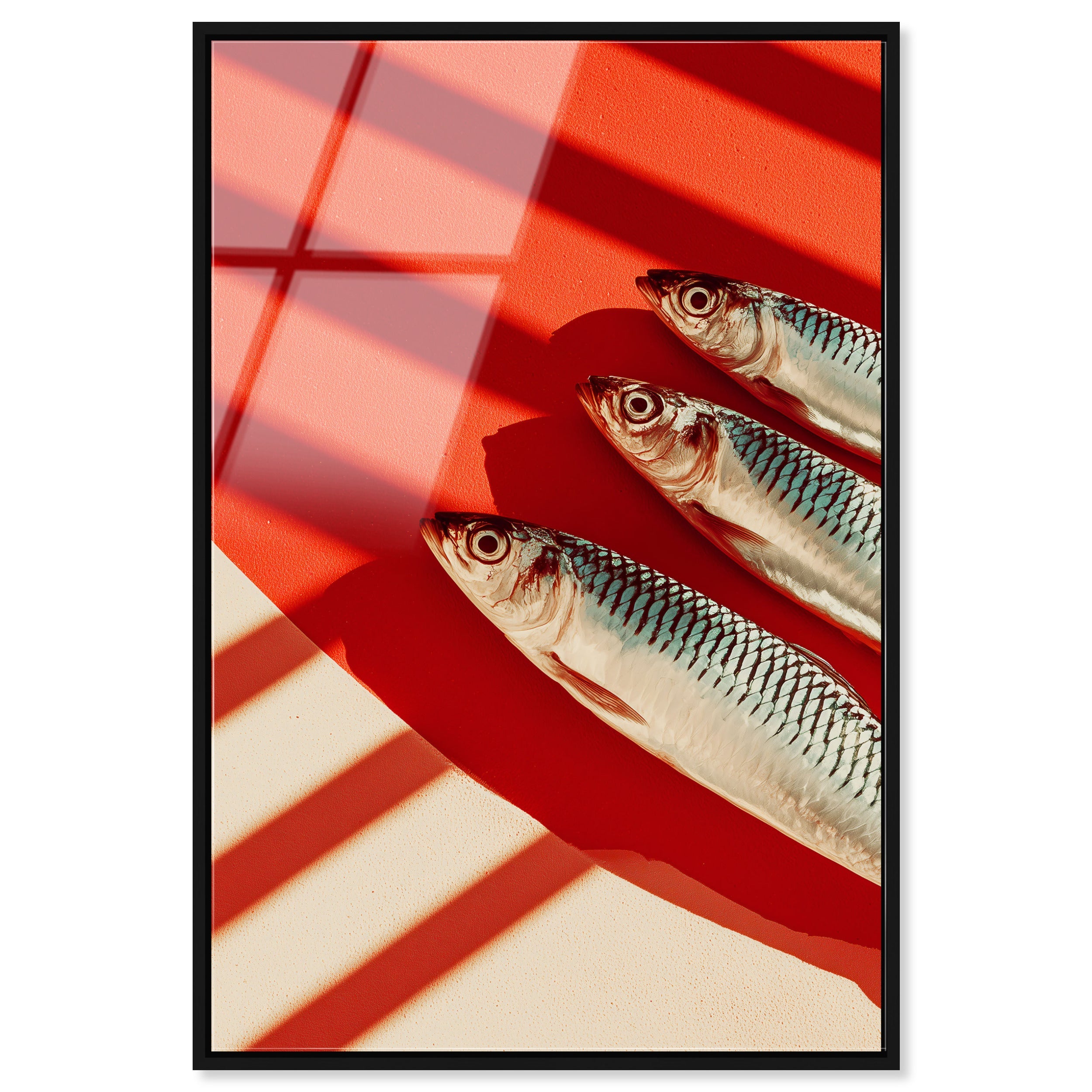 Coast Catch