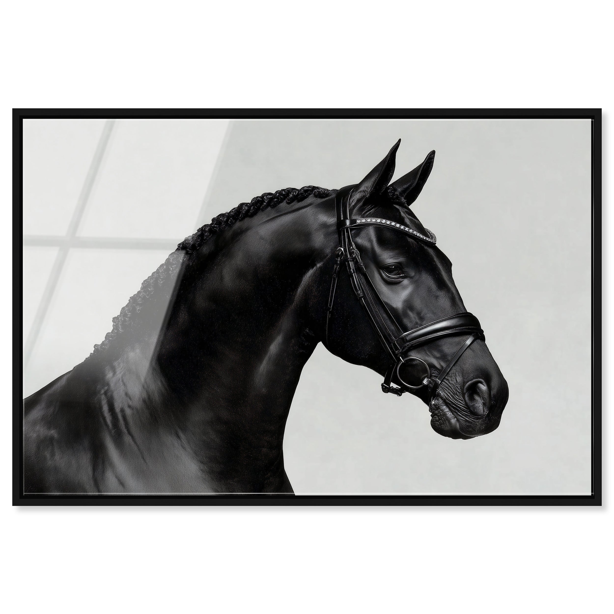 Midnight Majesty I