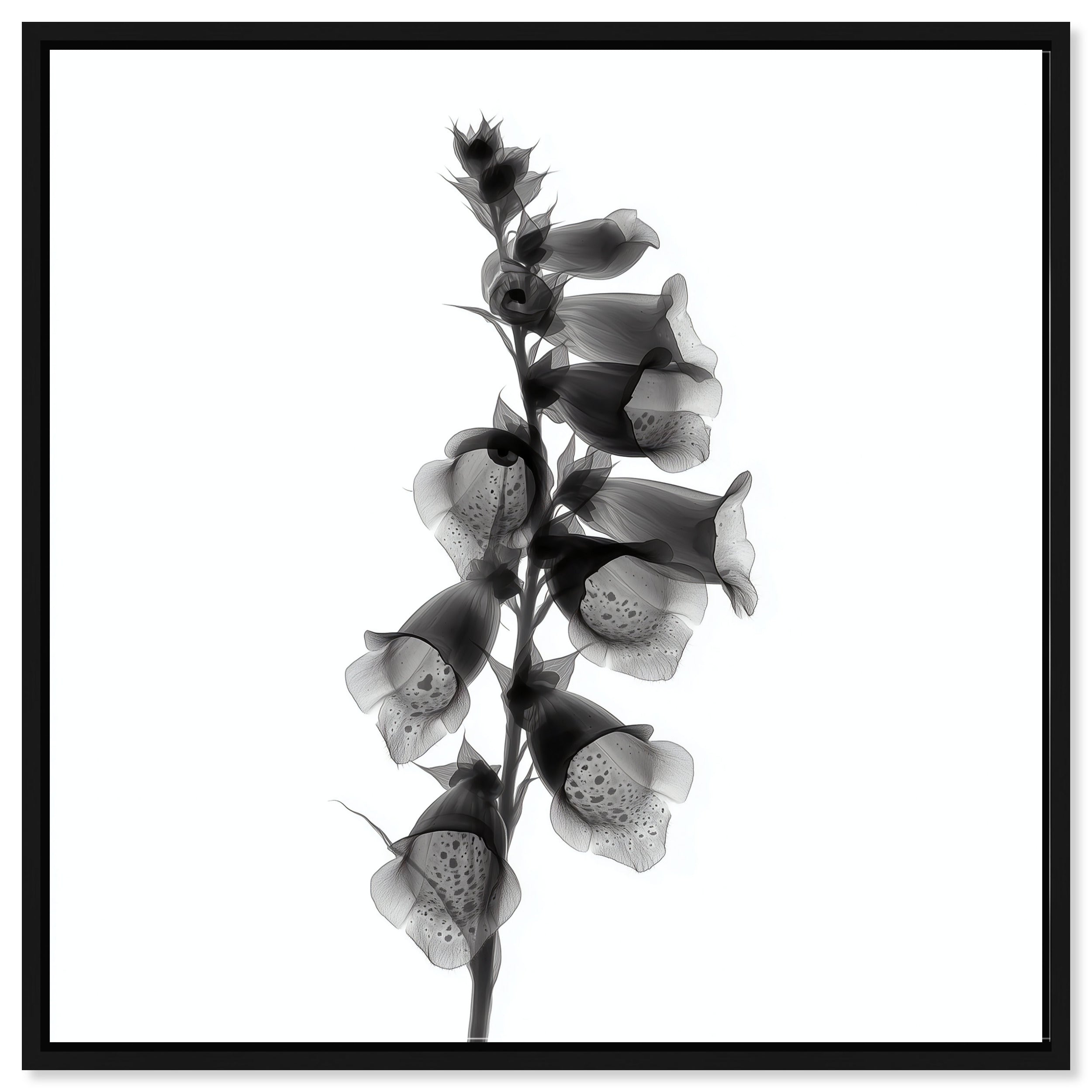 Ossified Petals II
