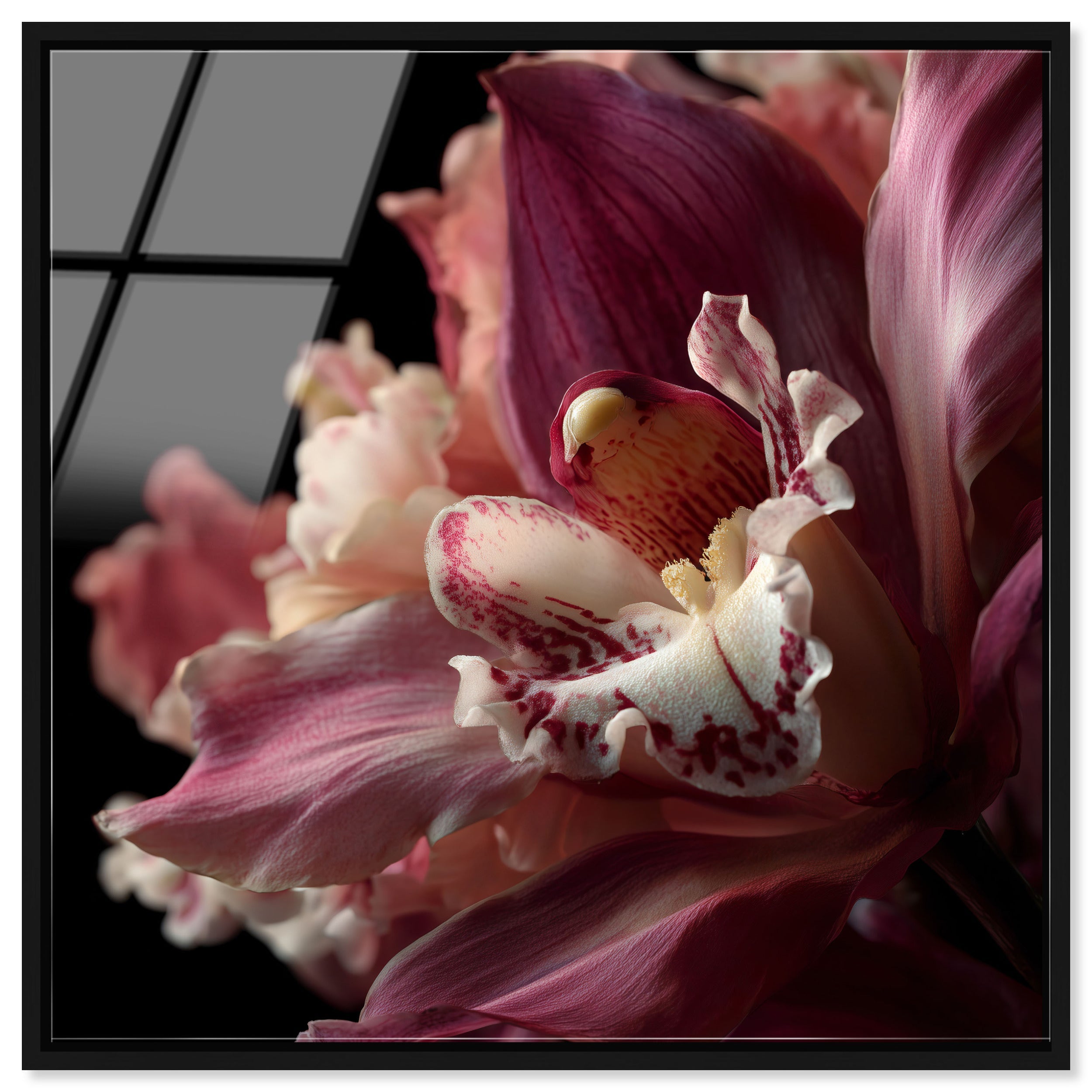 Velvet Labellum