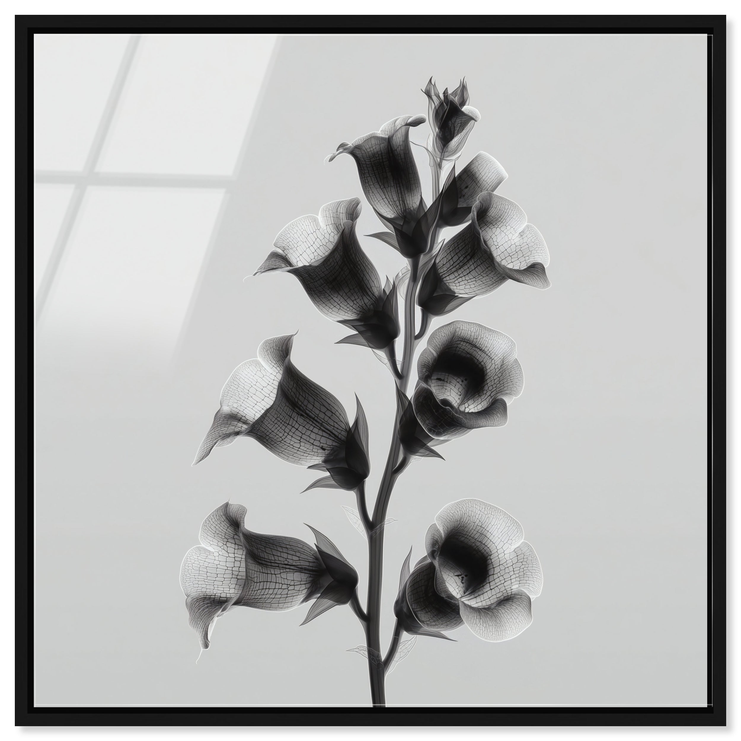 Ossified Petals I