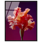 Taffeta Twilight I