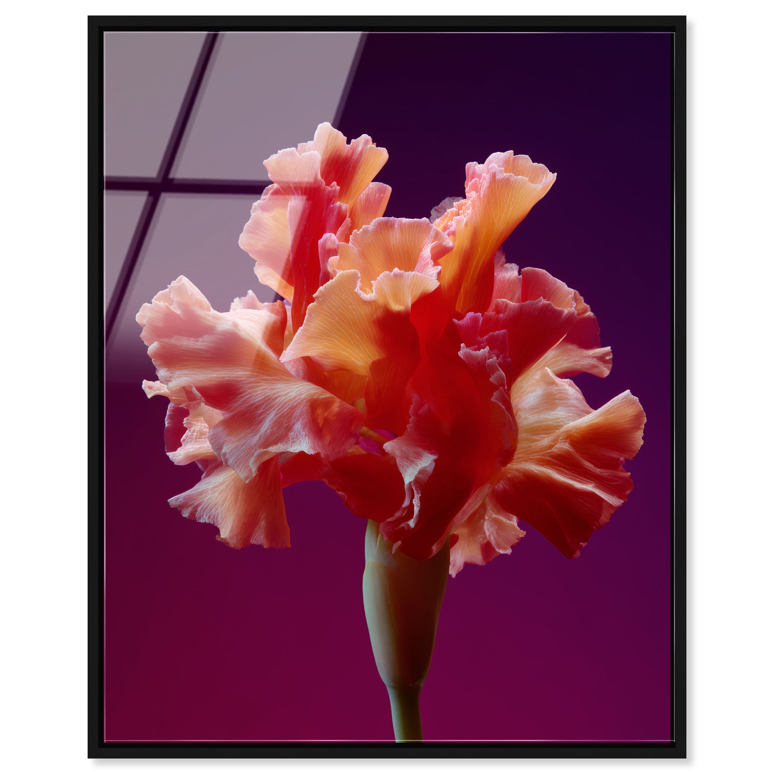 Taffeta Twilight I