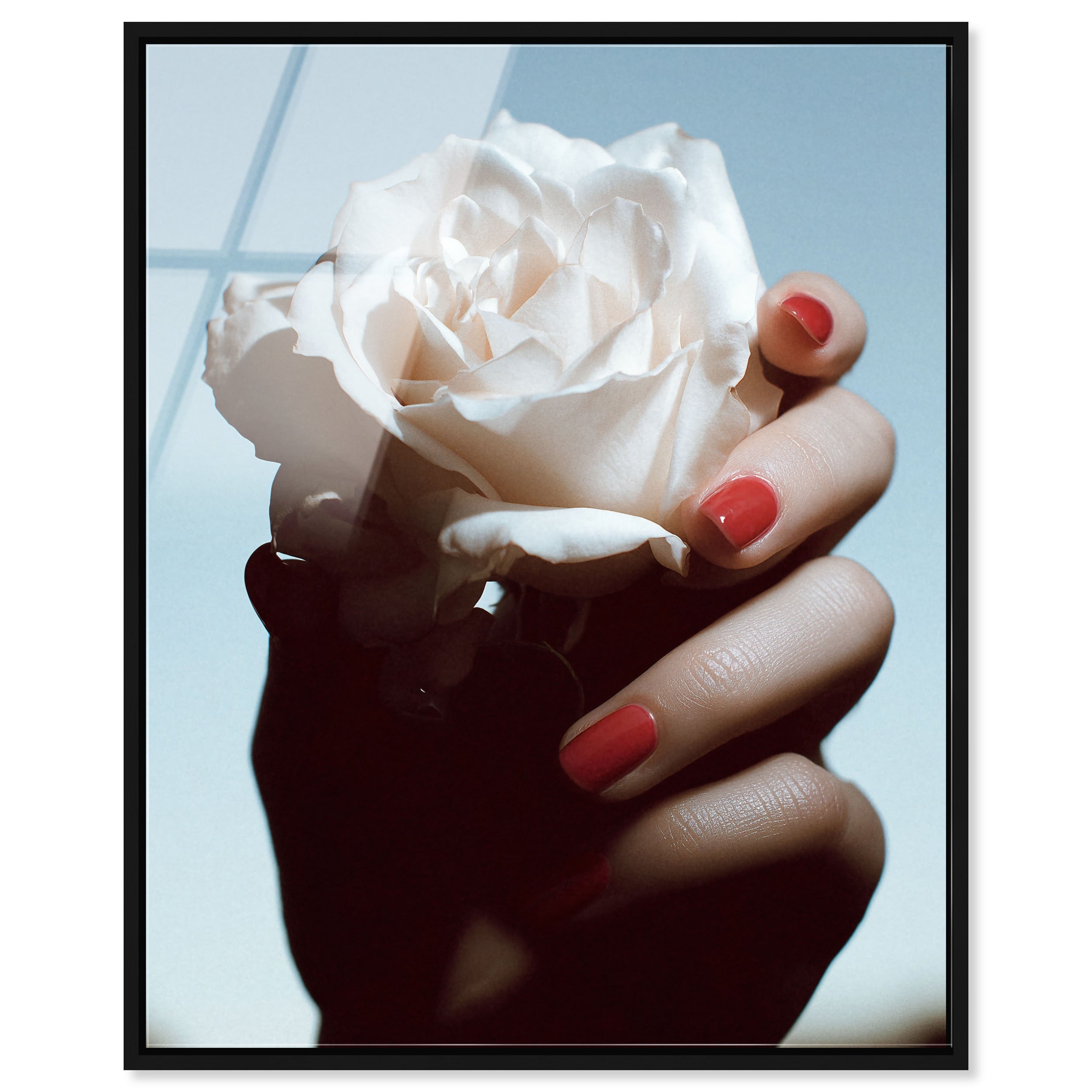 Crimson Tip Bloom