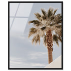 Monotone Tropics II